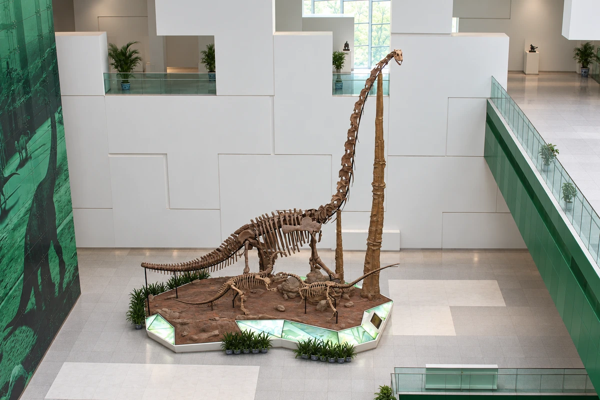 依据中国科技馆2010年主展厅照片制作的策展摄影，长颈恐龙骨架与展岛、绿色玻璃围栏清晰呈现。